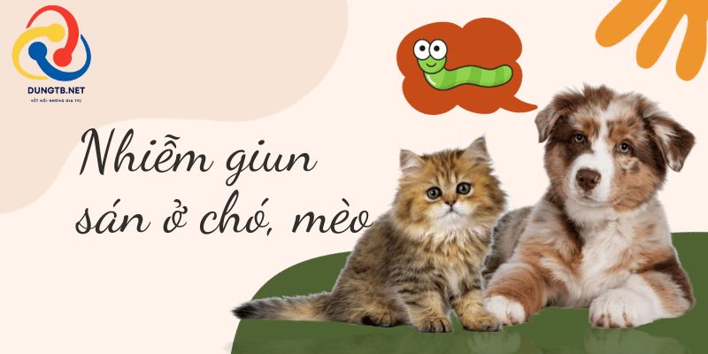 Những điều cần biết về nhiễm giun sán ở chó, mèo