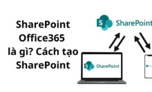 SharePoint Office365 là gì Cách tạo SharePoint